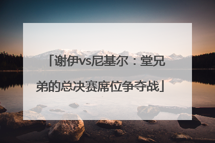 谢伊vs尼基尔：堂兄弟的总决赛席位争夺战
